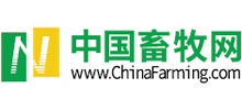 中国畜牧网