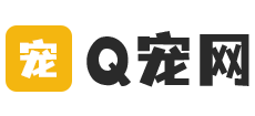q宠网